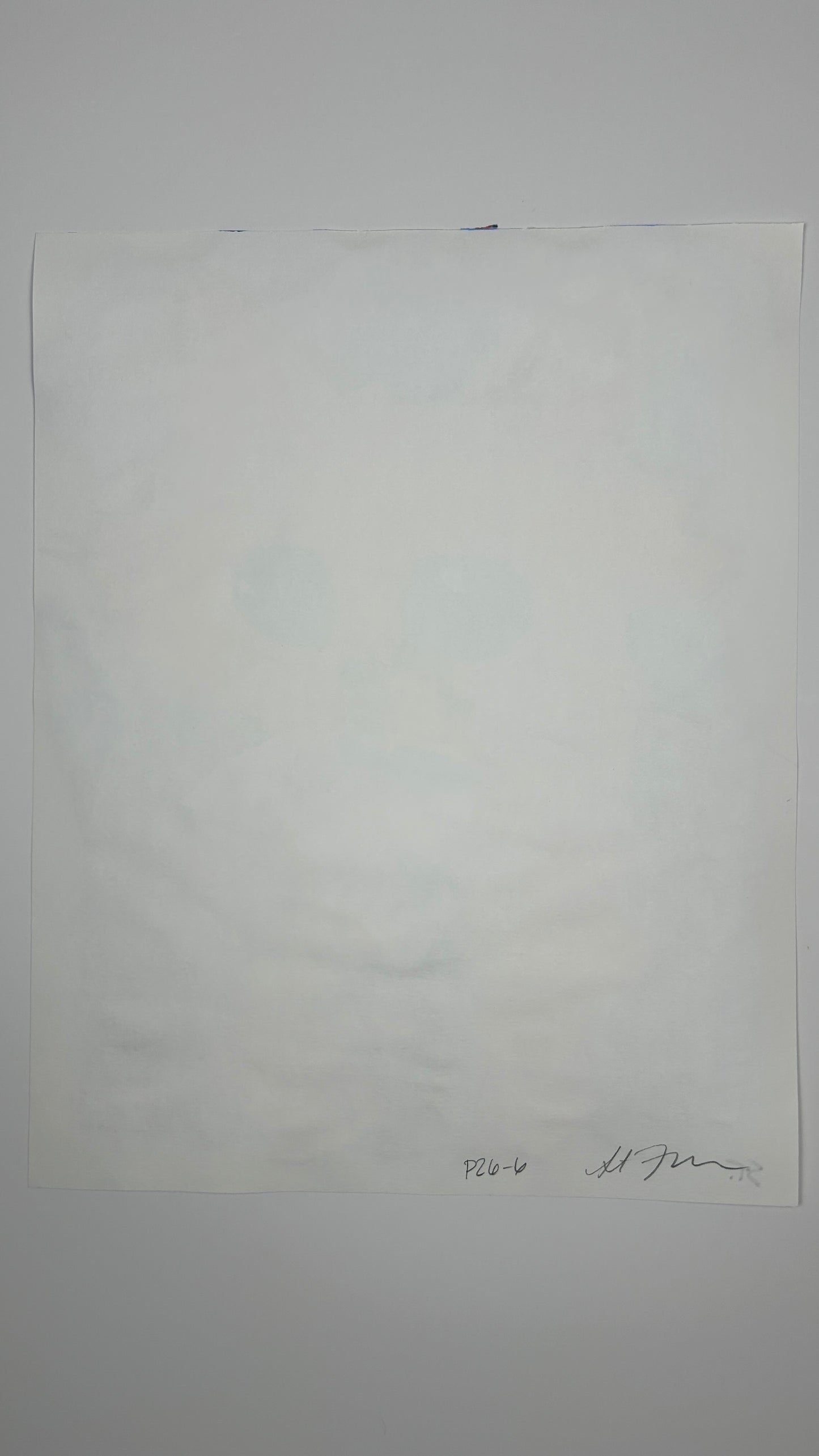 The Cat That Got Everything — 11x14 in.