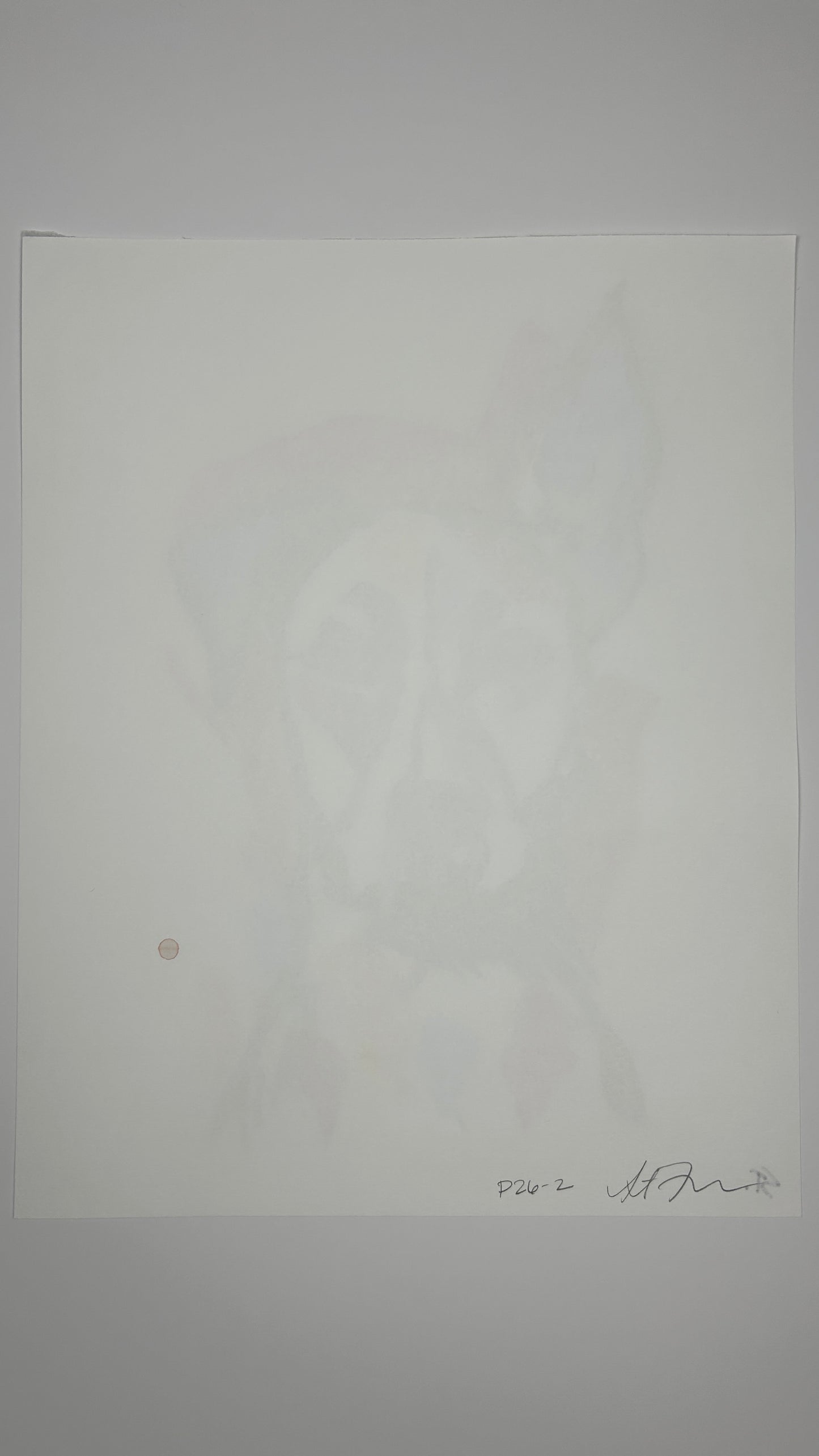 Dog Painted on a Tuesday — 11x14 in