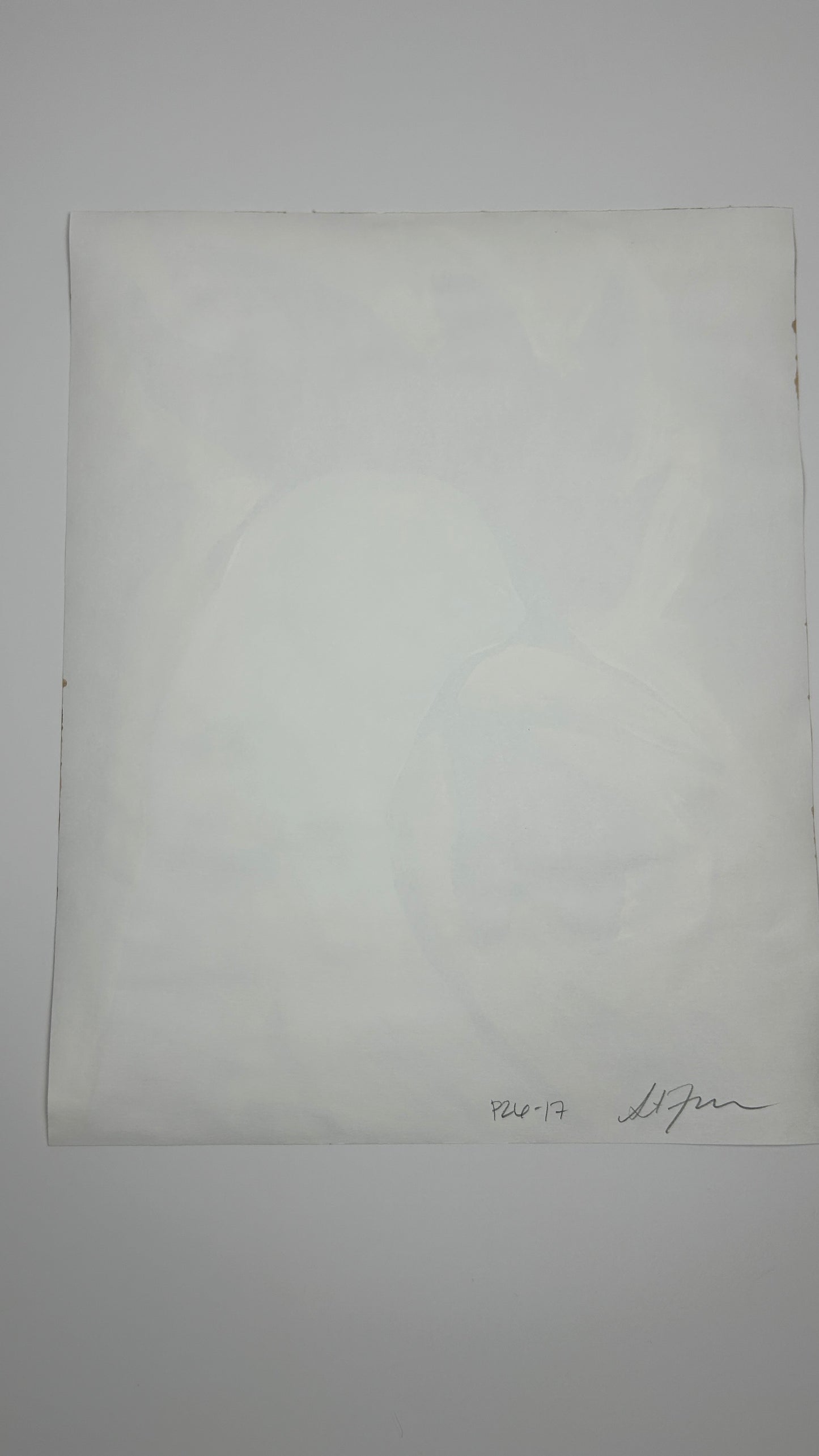 Replacement Rooster — 11x14 in.